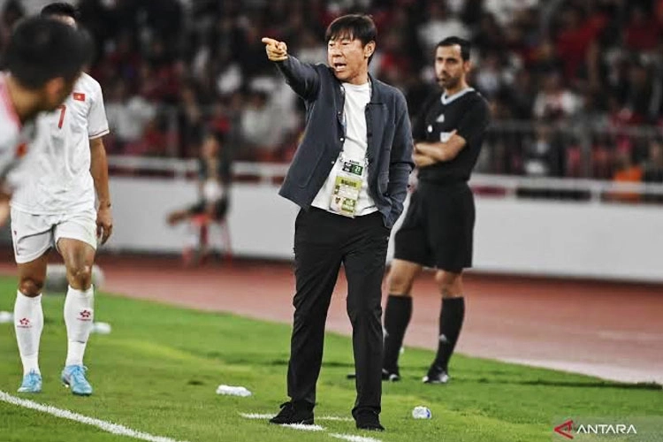 Shin Tae-yong saat mendampingi Timnas Indonesia di pinggir lapangan